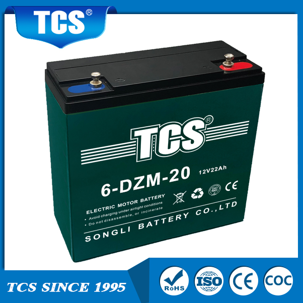 Electric Bike Bicycle Battery TCS 6-DZM-20 TCS-Batterie
