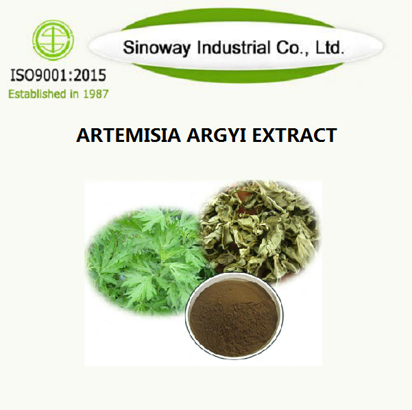 Artemisia Argyi-Extrakt.