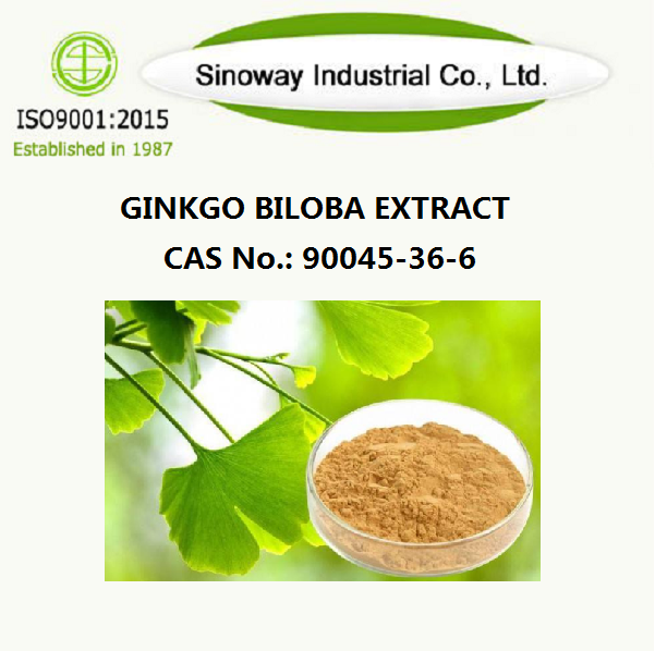 Ginkgo Biloba-Extrakt 90045-36-6