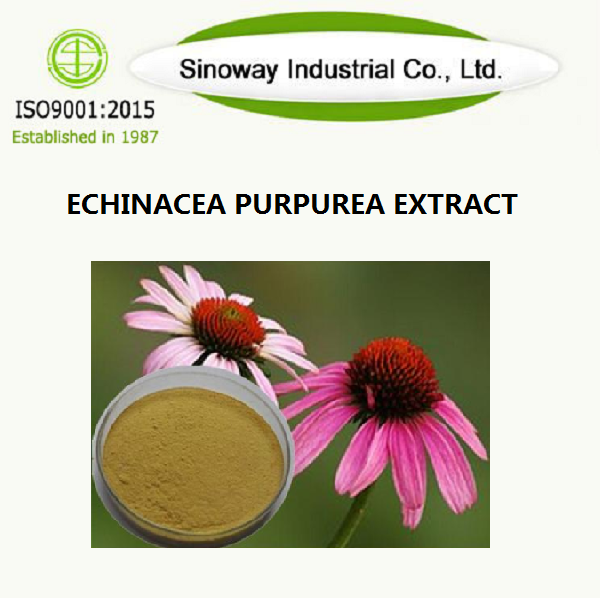 Echinacea Purpurea-Extrakt.