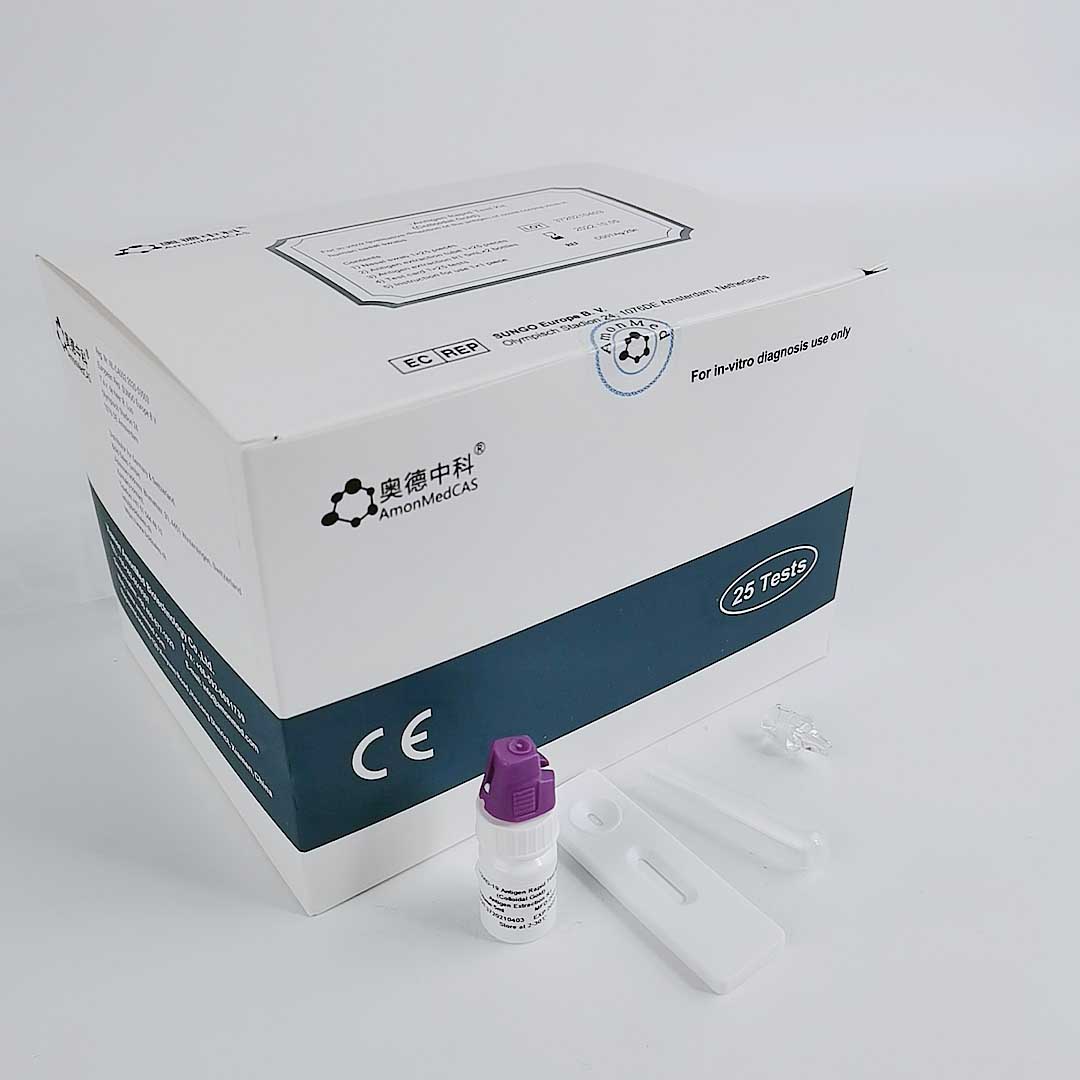 Guter Preis 25 Testkits Antigen Rapid Test Kits