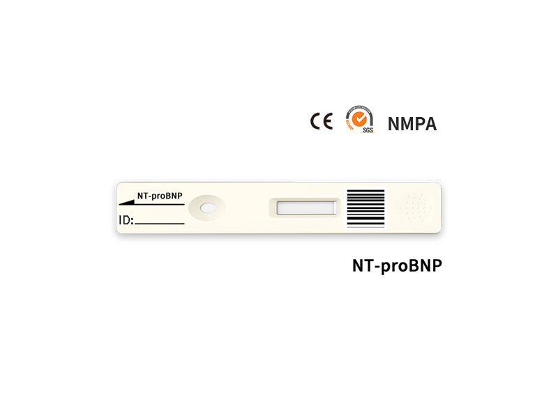 NT-PROBNP Rapid Quantitative Test