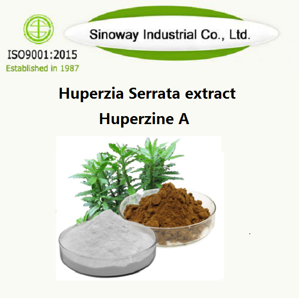 Huperzia Serrata-Extrakt / Huperzine A 102518-79-6