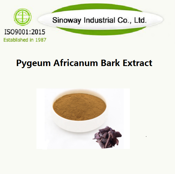 Pygeum Africanum-Rindenextrakt