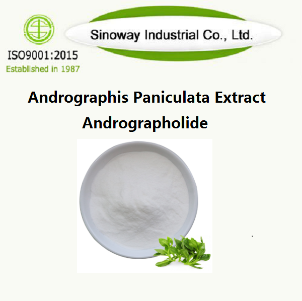 Andrographis Paniculata-Extrakt / Andrographolid