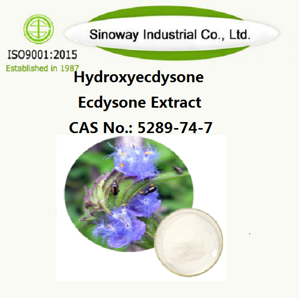 Hydroxyecdyson；Ecdyson-Extrakt β-Ecdyson 5289-74-7