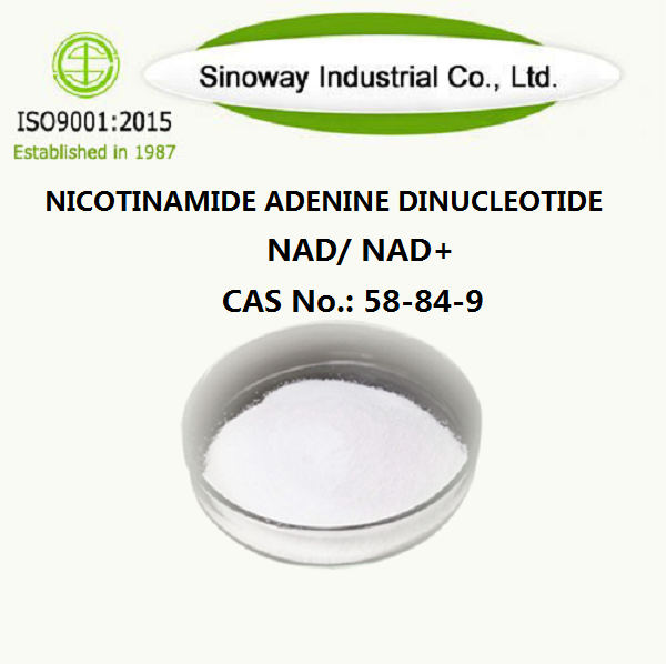 Nicotinamid-Adenin-Dinukleotid NAD 53-84-9