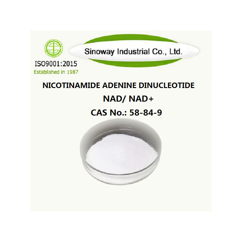 Nicotinamid-Adenin-Dinukleotid 53-84-9